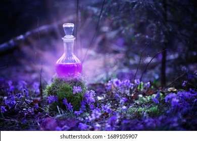 Magic Potion In Bottle In  Fairy Forest