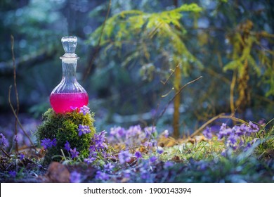 Magic Potion In Bottle In  Fairy Forest