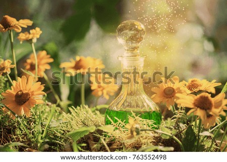 Magic potion in bottle in forest