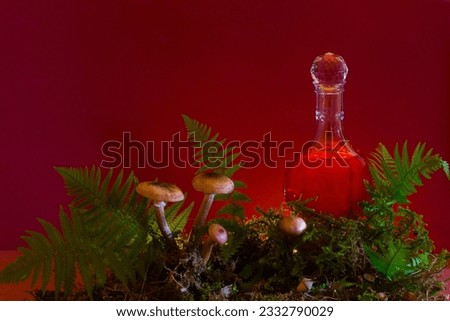 Magic red potion in bottle in forest