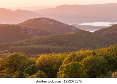 Magic spring background with midges in the Crimean mountains at sunset.