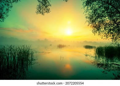 Magic sunrise over lake. Misty early morning, rural landscape, wilderness, mystical feeling. Serenity lake in magical light - Powered by Shutterstock