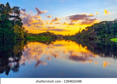 Magic Sunset In The Amazon Rainforest, Yasuni National Park. The Amazon Rainforest Comprise The Countries Of Ecuador, Peru, Bolivia, Brazil, Colombia, Suriname, Venezuela, Guyana.