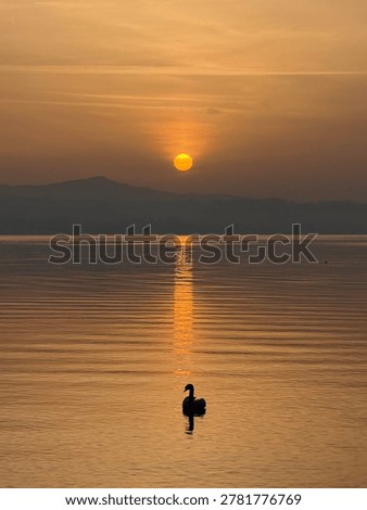 Magic sunset, Bodensee at night 
