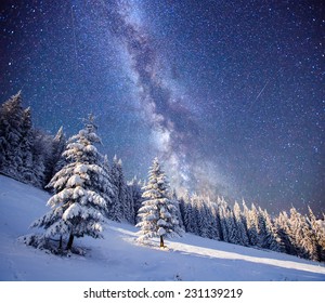 Magic Tree In Starry Winter Night