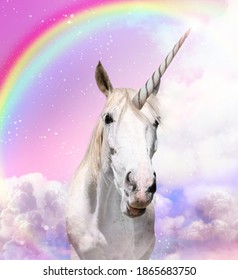 Magic Unicorn In Beautiful Sky With Rainbow And Fluffy Clouds. Fantasy World