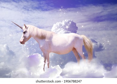 Magic unicorn in fantastic starry sky with fluffy clouds