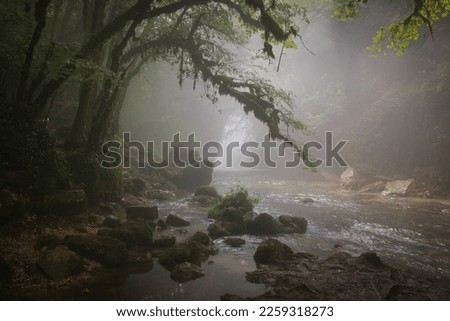 Magic view of foggy forest with waterfall in the park of Monti Simbruini, Lazio, Italy