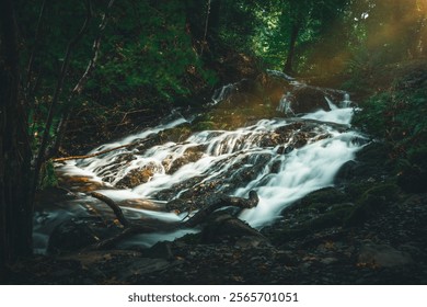 the magic waterfall in the forest