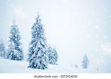 magic winter landscape with snowy fir trees - Shutterstock ID 2073924035