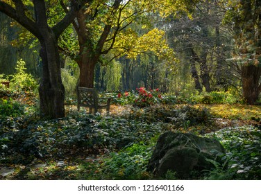 Magical Autumn Garden In The Hudson Valley 