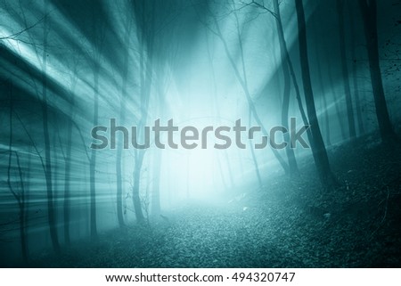 Magical blue color sun rays in the foggy forest landscape. 