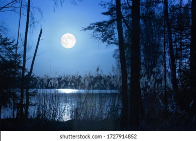 1,635 Moon night landscape forest lake full Images, Stock Photos ...