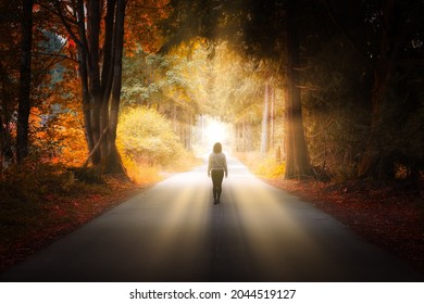 Magical Colorful Art Render with Sunrays of Adventurous Caucasian Woman walking on a Scenic Road by the Vibrant Canadian Rainforest Trees. Salt Spring Island, British Columbia, Canada.