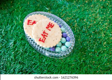 Magical and colorful set of afternoon tea in Alice in Wonderland theme. Tasty and delicious cookie or biscuit with Eat Me written on top of candy in a glass bowl over green grass. Natural light.
