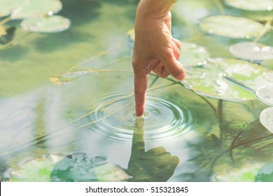 magical contact between man and nature - Powered by Shutterstock