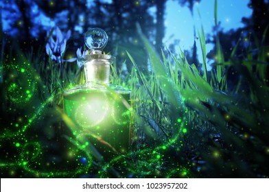 Magical Fairy Dust Potion In Bottle In The Forest