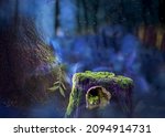 Magical fairy forest at night with a close up of a tree trunk with a fairy house. Fantasy misty landscape with a soft feeling with light magical effects. Perfect for a backdrop