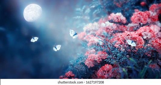 Magical fantasy enchanted fairy tale landscape with fabulous fairytale blooming pink rose flower garden and flying butterflies on blurred mysterious blue background and shiny glowing moon ray in night