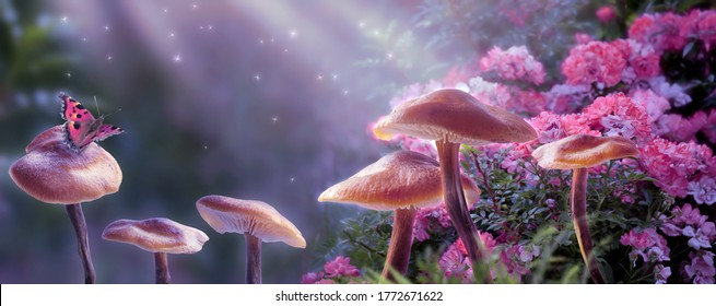Magical fantasy mushrooms in enchanted fairy tale dreamy elf forest with fabulous fairytale blooming pink rose flower and butterfly on mysterious background, shiny glowing stars and moon rays in night - Shutterstock ID 1772671622