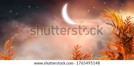 Magical fantasy valley in enchanted fairy tale palm tree thickets and glowing crescent moon, fabulous mystical garden on mysterious cloudy sky background with shining stars in night