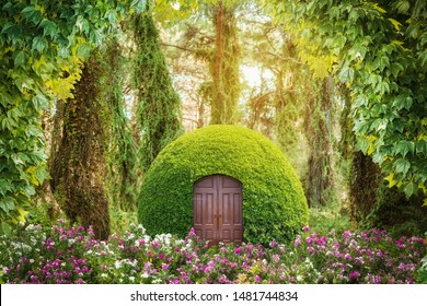 Magic World High Res Stock Images Shutterstock