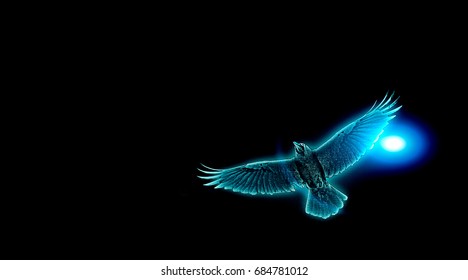 Magical Flying Raven Blue Moonlight Darkness Stock Photo 684781012 ...