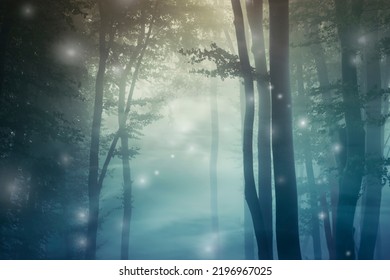 Magical Forest Background, Fantasy Forest In Fog