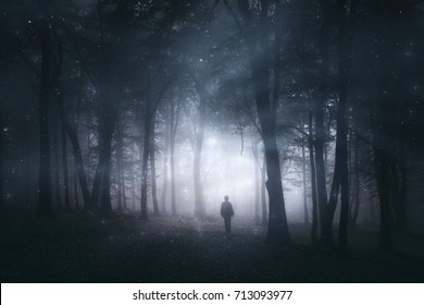 Magical Forest Mystery Landscape Man Silhouette Stock Photo 713093977 ...