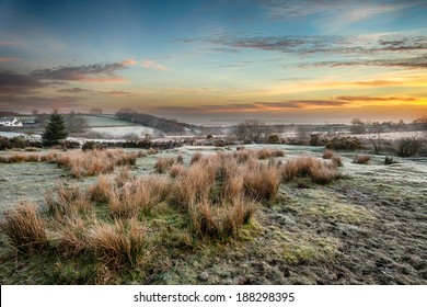 A magical frosty sunrise at Bellever on Dartmoor National Park in Devon