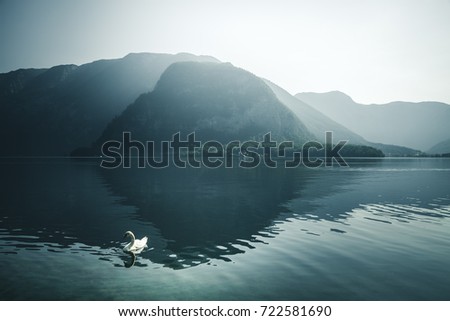 Similar – romantic ducks Lake Clouds