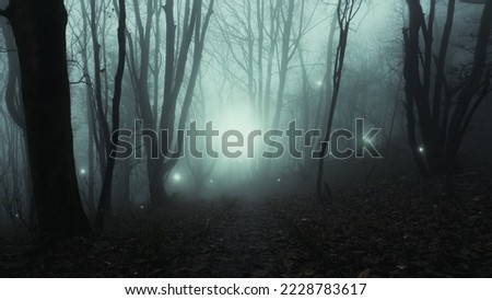 Magical, mysterious glowing orbs of light. Floating in a mystical spooky forest. On a foggy winters day