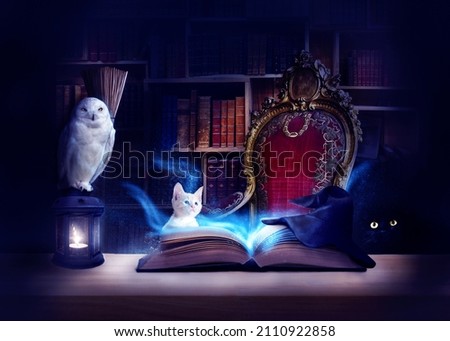 Magical opened book in the library with cute animals. The spell book is on the desk and casting soft light. Perfect for a backdrop, background. Photo manipulation