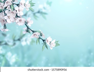 Magical scene with cherry flowers of white color and magic sparks. Beautiful nature spring background. Photo toned in light blue color. Copy space for text - Shutterstock ID 1575890956