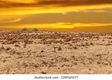 Magical Skies And Rare Rocks Of The Petrified National Forrest, AZ, USA