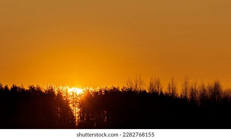 Magical sunrise with trees. Trees silhouette in golden sunrise. - Shutterstock ID 2282768155