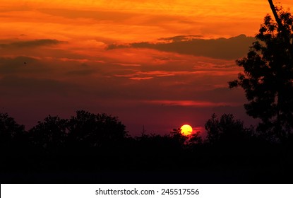 Magical Sunset With Forest Silhouette