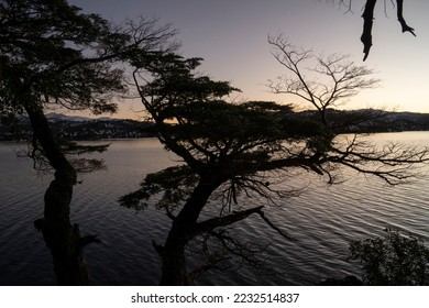 Magical view of the dark silhouette of the forest trees, calm lake and mountains, under a nightfall sky.  - Shutterstock ID 2232514837