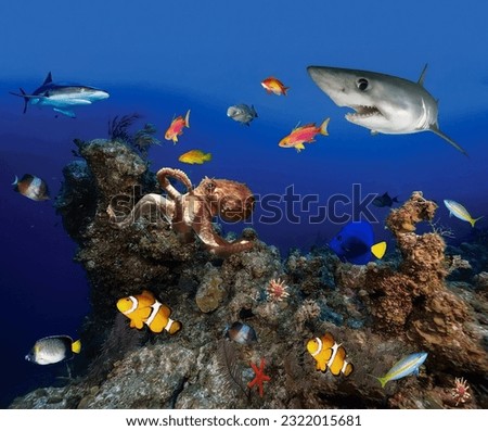 A magical view of an underwater coral reef with swimming sharks octopus and gorgeous colored fish