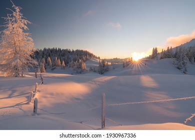 Magical white winter sunset at Dobratsch Natural Park with untouched snow and frost covered pine trees, Villach, Carinthia, Austria