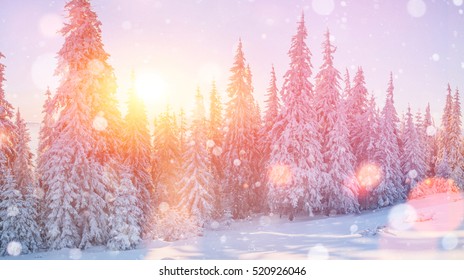 60+ Free Cute Winter Backgrounds - Pikwizard