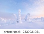 Magical winter landscape from Riisitunturi National Park, Posio, Finland