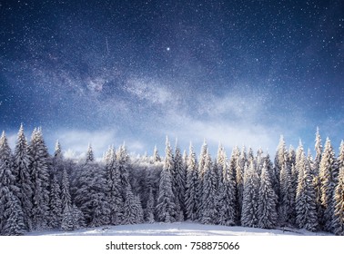 Magical winter landscape with snow covered tree. Vibrant night sky with stars and nebula and galaxy astrophoto.
