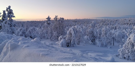 Magical Winter, Saariselkä, Lapland, Finland 