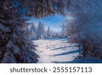 A magical winter scene framed by snow-laden evergreen trees, opening to a sunlit clearing and frost-covered forest. A tranquil and enchanting winter wonderland.