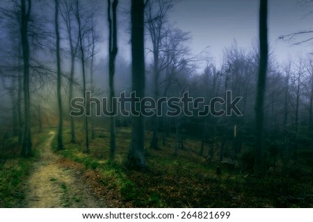 Similar – Image, Stock Photo edge of the forest Autumn