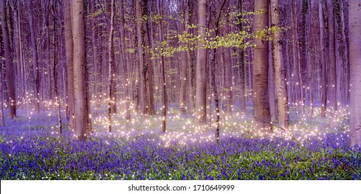 A magically enchanting fairytale forest landscape with shimmering pixie dust stars over a beautiful carpet of blue bluebells among the tall deciduous trees.