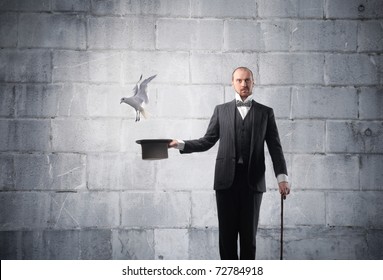 Magician with bird flying away from his cylinder hat