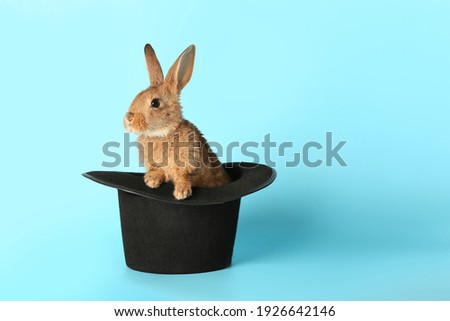 Magician hat with cute rabbit on color background