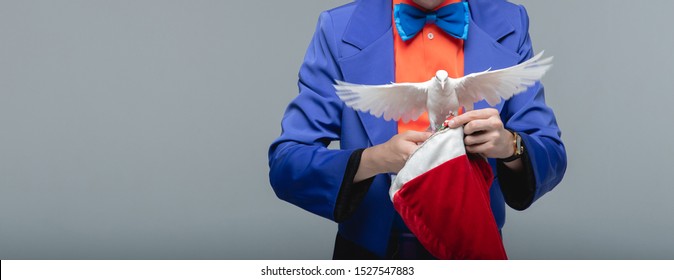 Magician Man Shows Trick With Trained White Dove Bird.